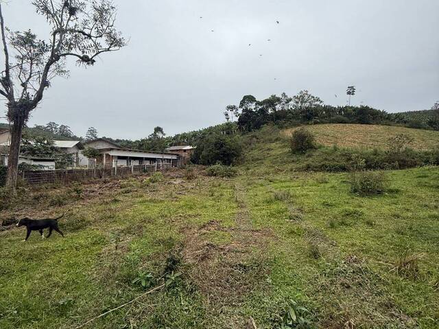 #507 - Terreno para Venda em Luiz Alves - SC - 3
