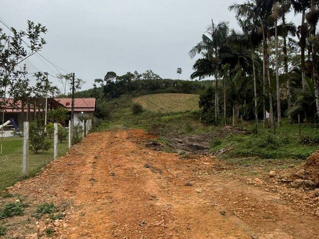 Terreno para Venda em Luiz Alves - 4