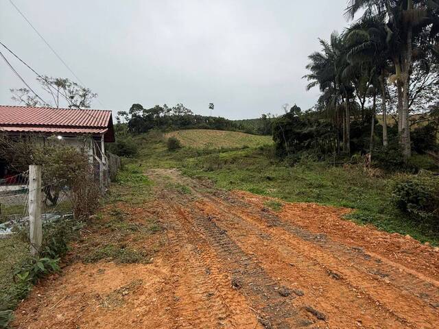Terreno para Venda em Luiz Alves - 5